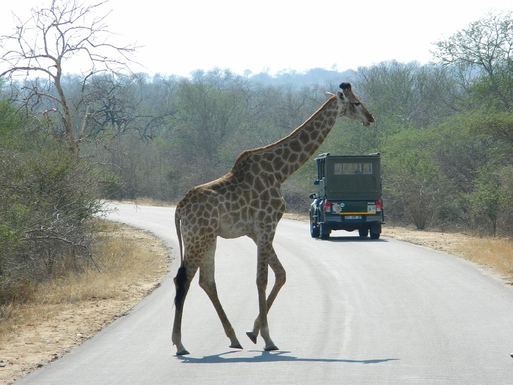 Suedafrika (133)